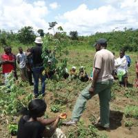 THE ROLES OF AGRICULTURAL EXTENSION IN NIGERIA